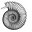 logo Groupe Neuchâtelois des Amateurs en Paléontologie